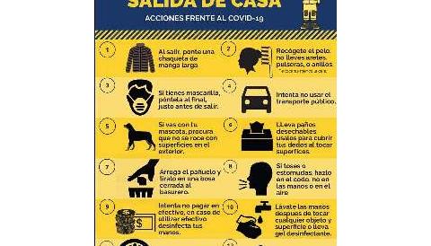 Protocols sortida casa